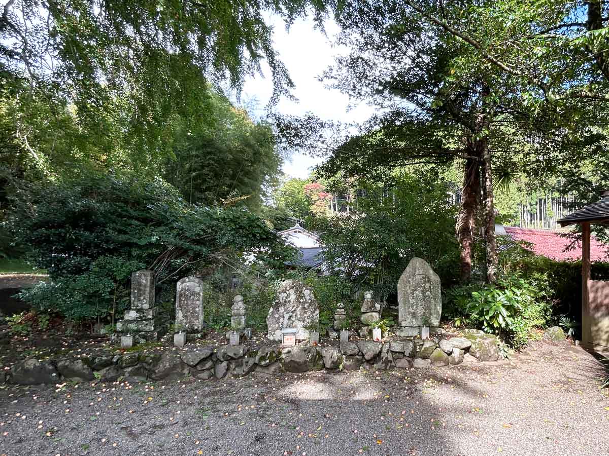 大イチョウの足元に静かに佇む石碑群。弘法大師の修行の記憶が、今もここに息づいているかのようです