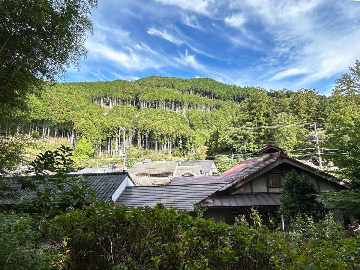 境内から見える山と森、そして小さな村落。時が止まったかのような風景