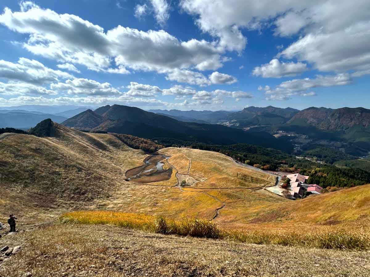 高原はススキ色