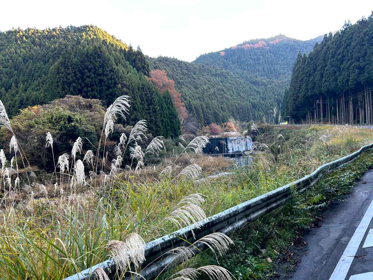 青蓮寺川沿いの風景