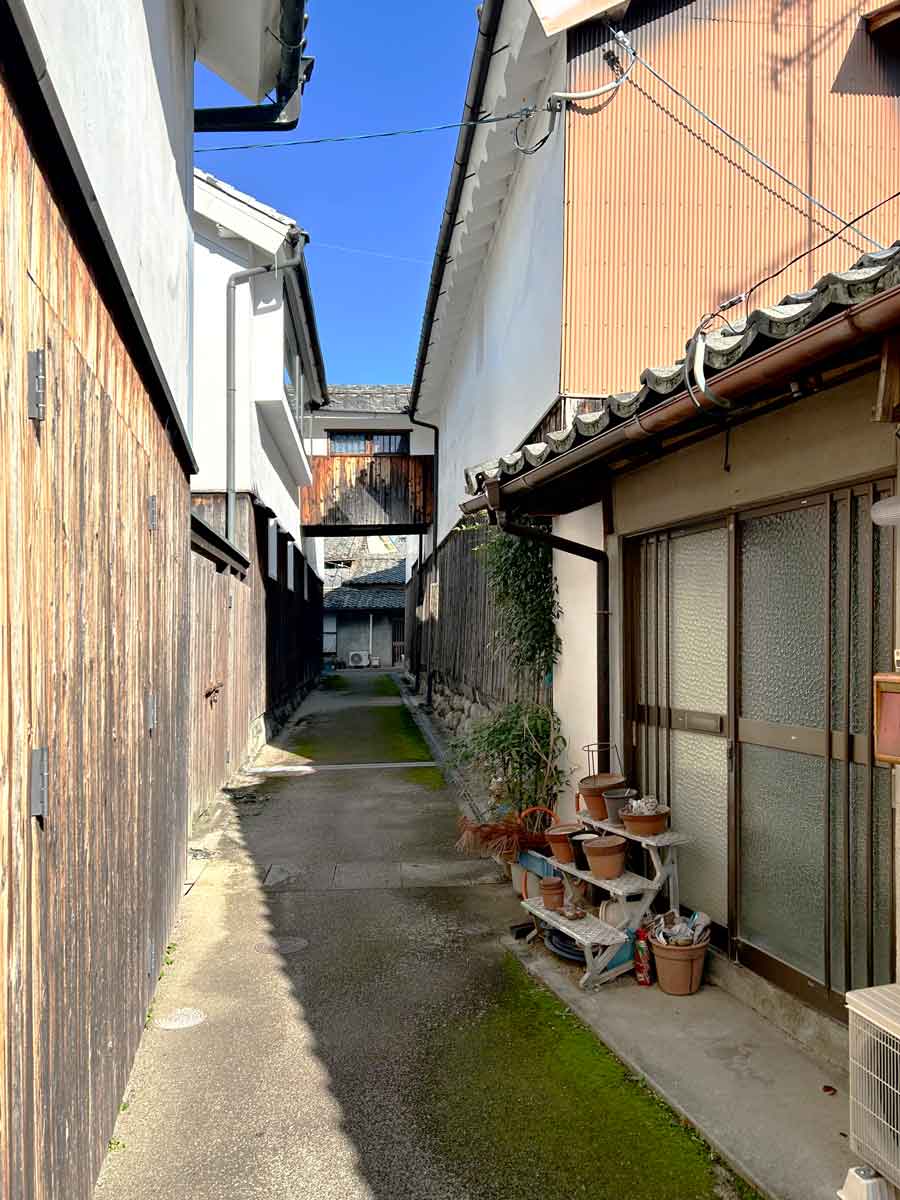 遠方に見えてます