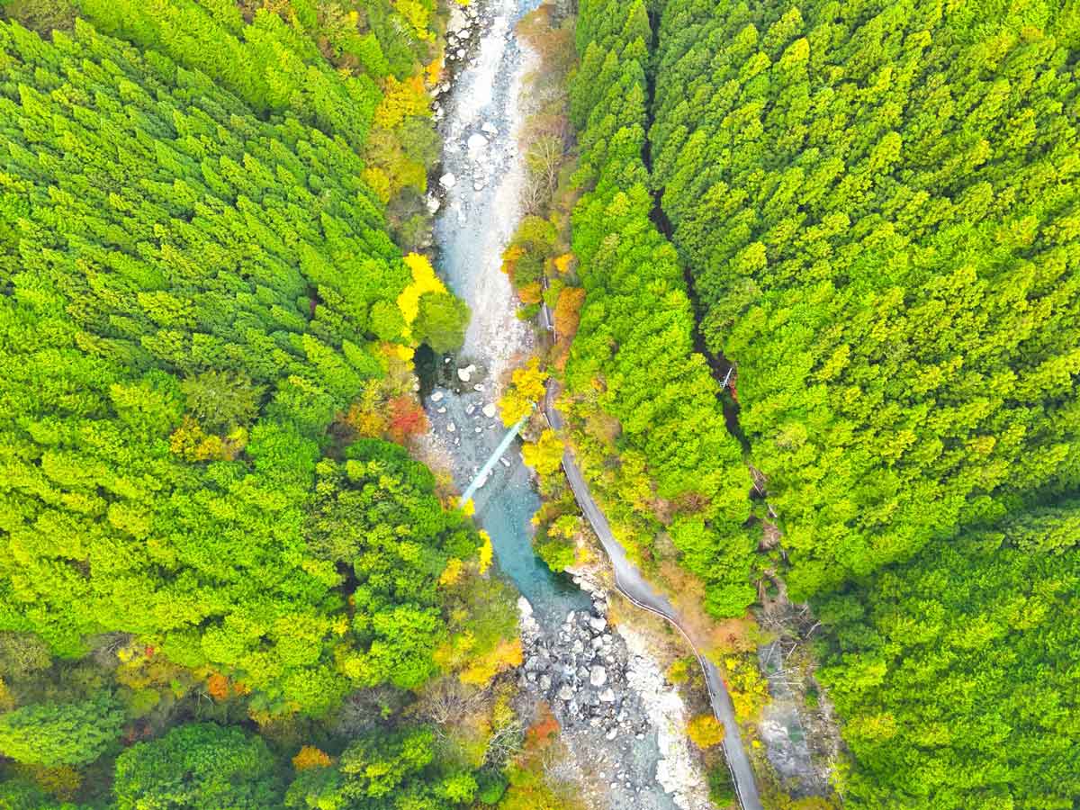ご先祖様から受け継いだ何か