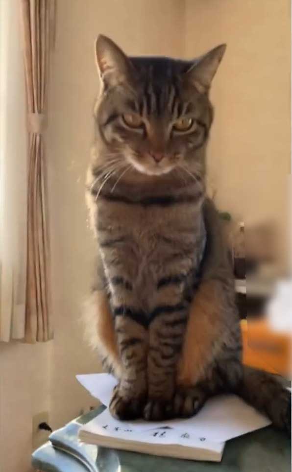 ひみちゃんの朝