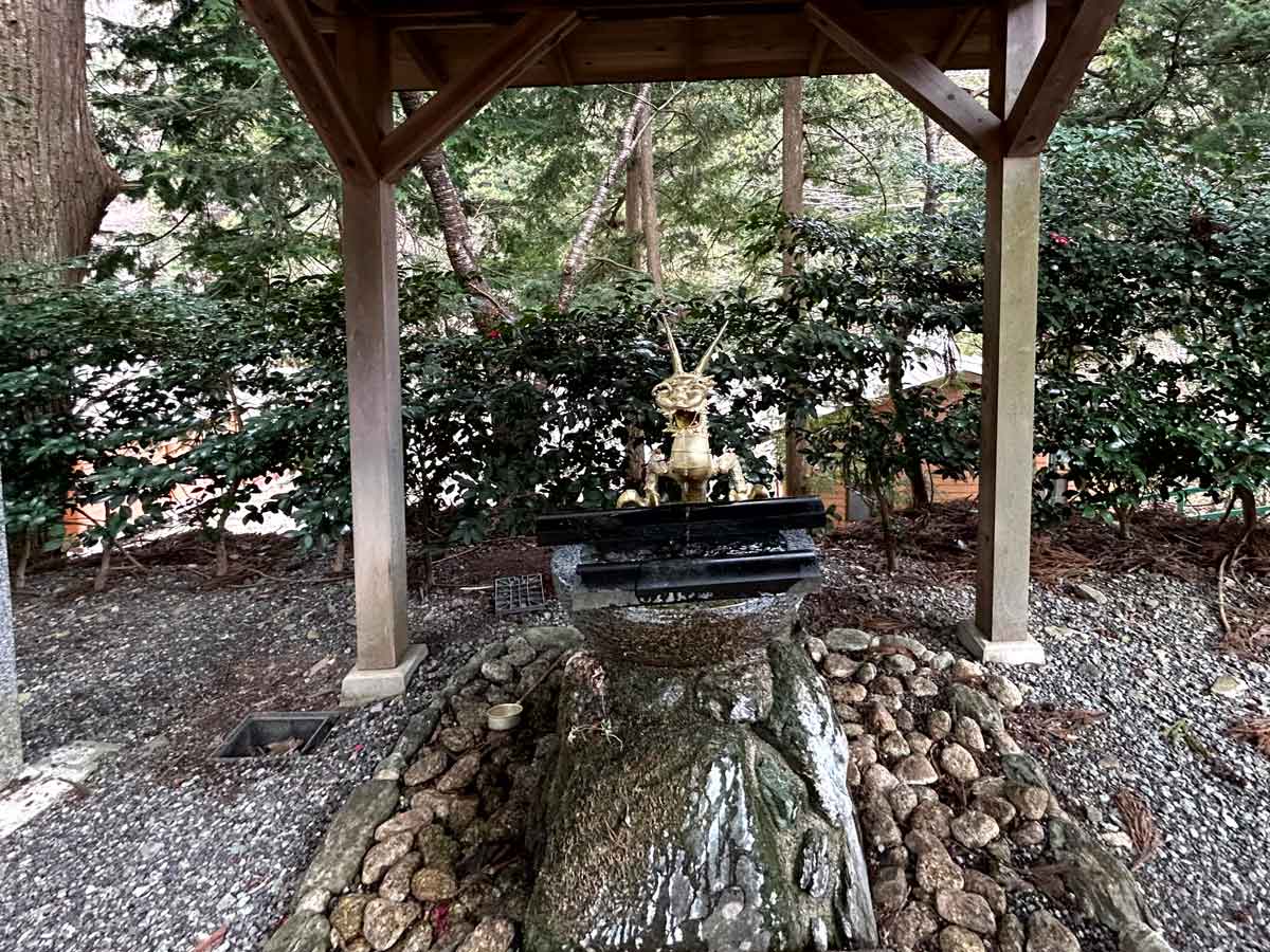 手水舎の金色の竜
