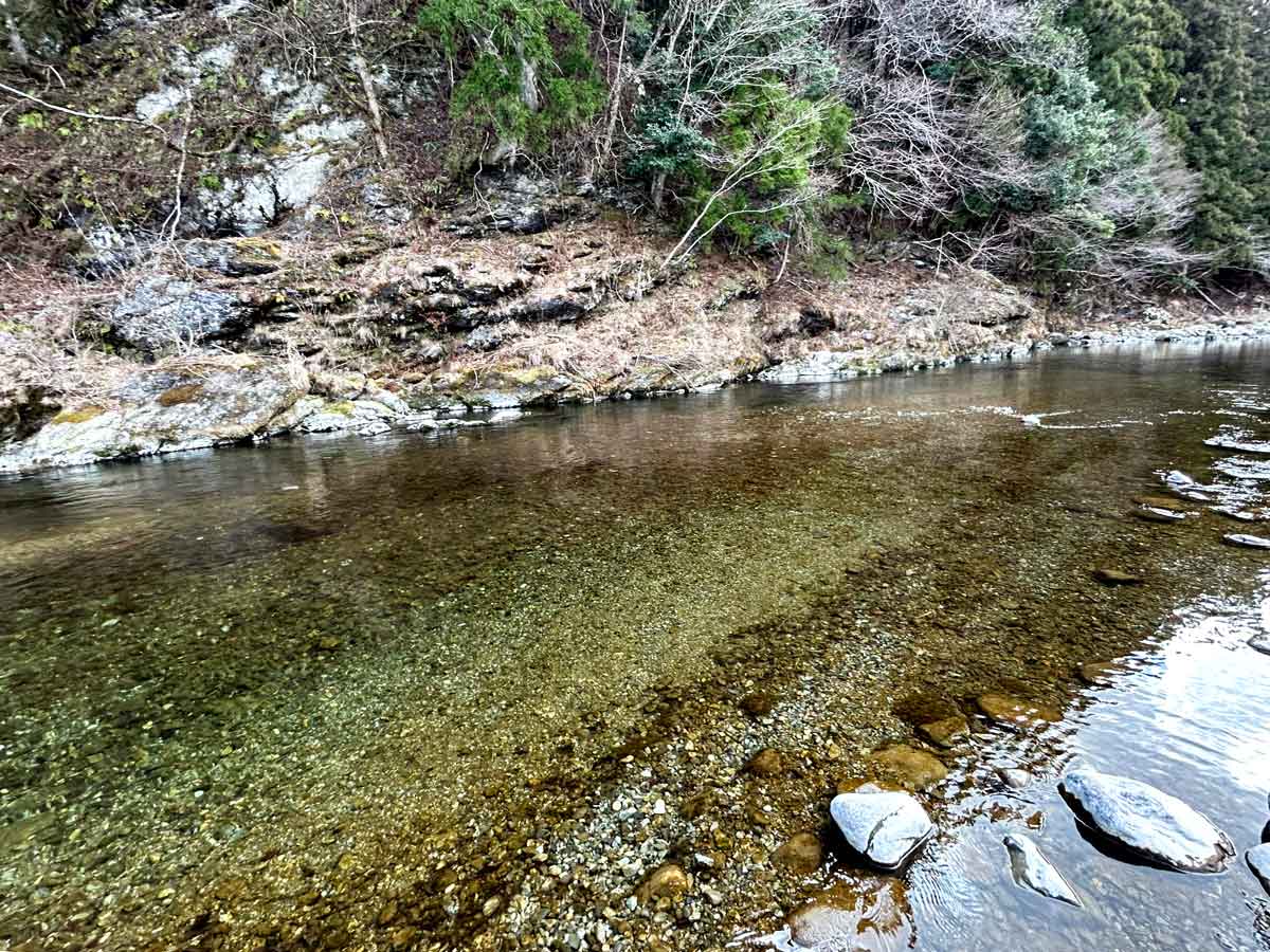 川に接近します