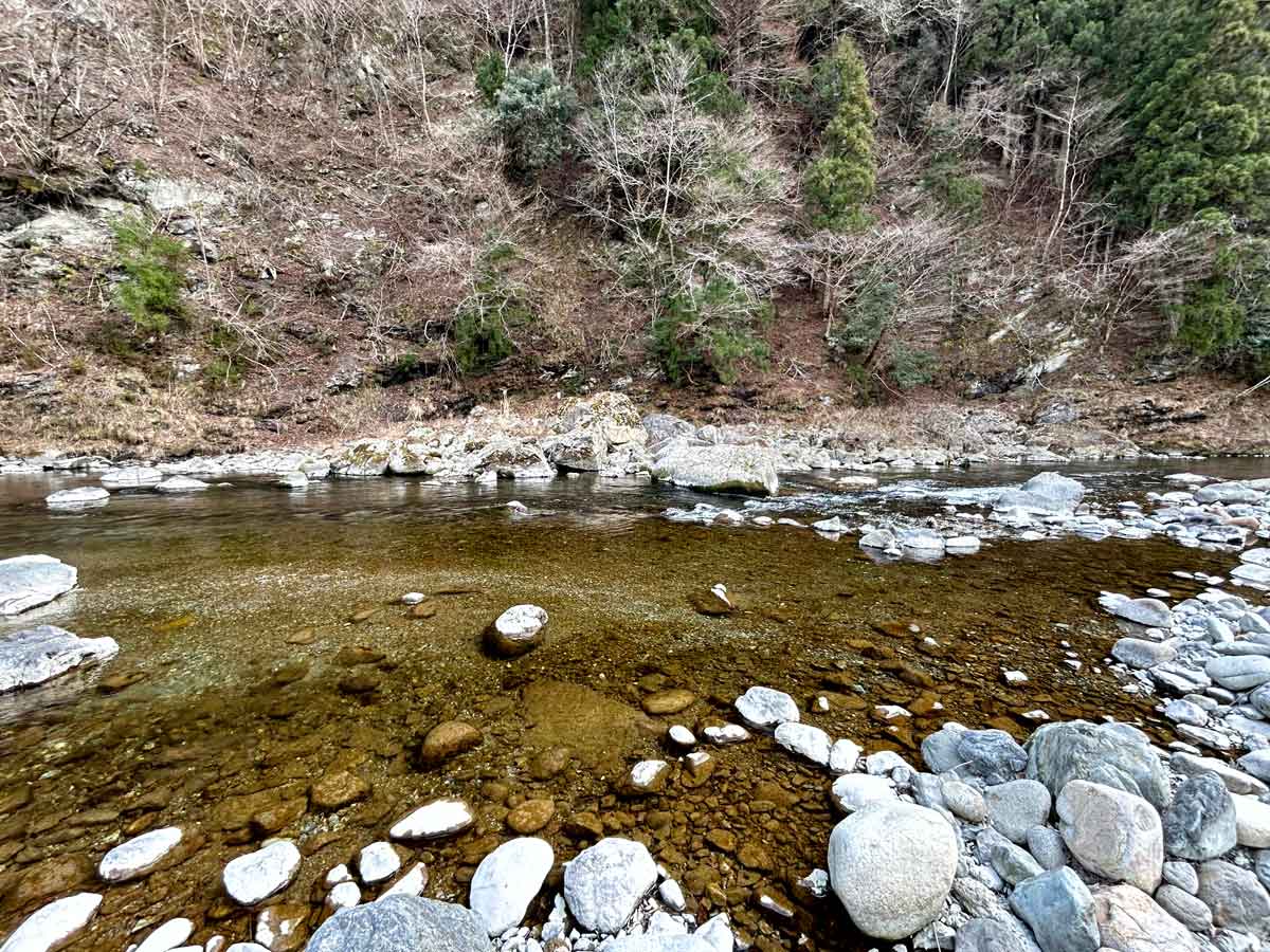 川の中央に砂州が見えます
