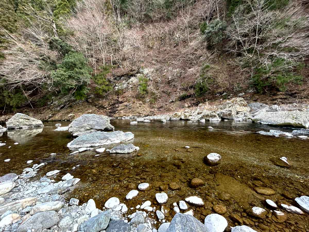 川の中央に砂州が見えます